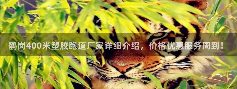 红足1世官网：鹤岗400米塑胶跑道厂家详细介绍，价格优惠服务周到！