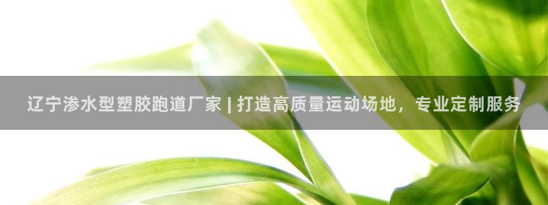 红足1世足球比分预测：辽宁渗水型塑胶跑道厂家 | 打造高质量运动场地，专业定制服务