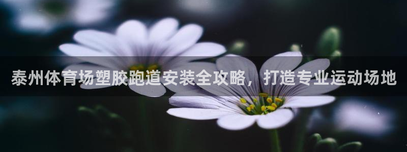 777814红·足一世：泰州体育场塑胶跑道安装全攻略，打造专业运动场地