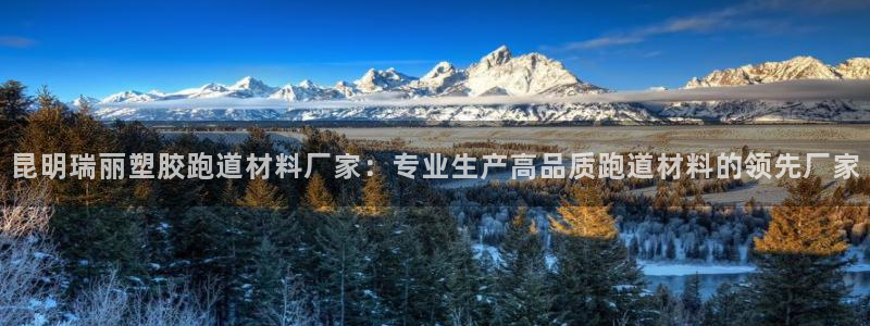 红足一1世666814最新结果：昆明瑞丽塑胶跑道材料厂家：专业生产高品质跑道材料的领先厂家