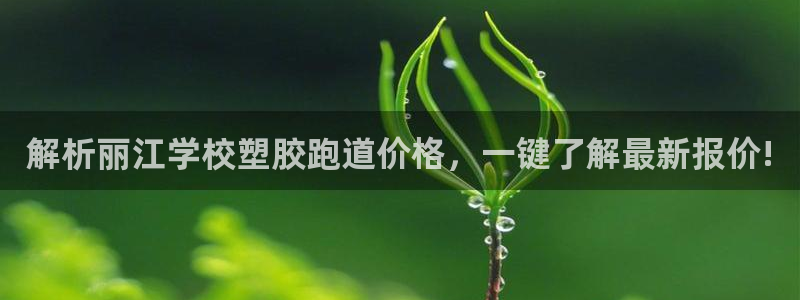 55814红足1世：解析丽江学校塑胶跑道价格，一键了解最新报价!