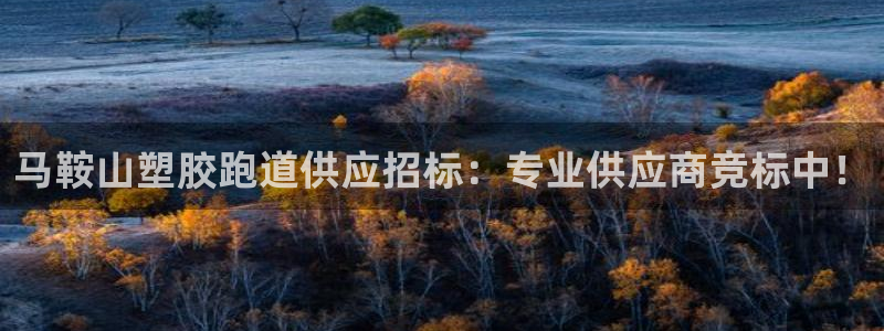 红足一1世666814足球比分网：马鞍山塑胶跑道供应招标：专业供应商竞标中！
