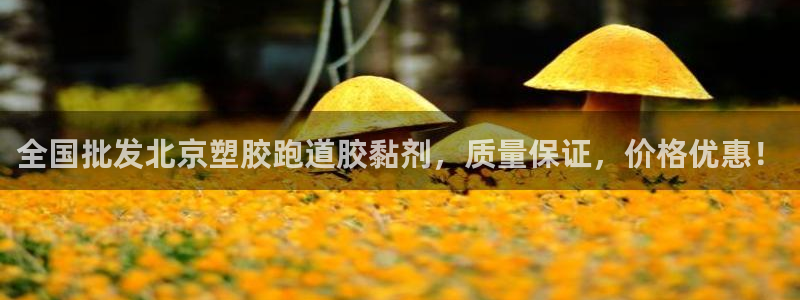 55814红足1世：全国批发北京塑胶跑道胶黏剂，质量保证，价格优惠！