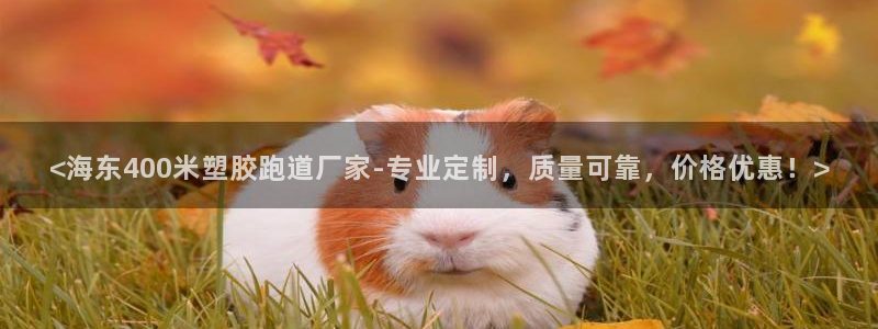 红足1世手机版下载：<海东400米塑胶跑道厂家-专业定制，质量可靠，价格优惠！>