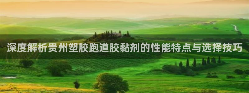 66814红足：深度解析贵州塑胶跑道胶黏剂的性能特点与选择技巧