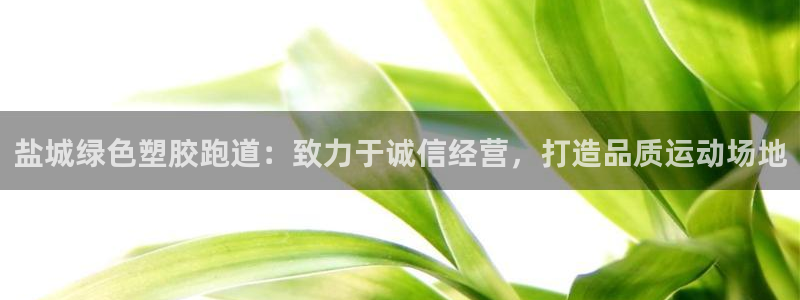 66814红足：盐城绿色塑胶跑道：致力于诚信经营，打造品质运动场地