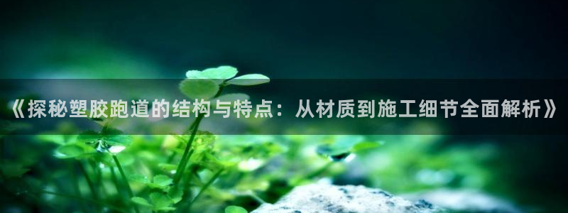 红足1一世红：《探秘塑胶跑道的结构与特点：从材质到施工细节全面解析》