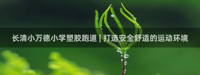 百度红足一1是为什么