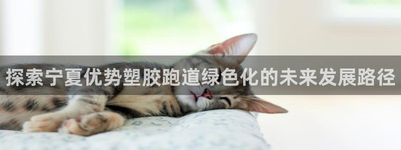 红足一丰：探索宁夏优势塑胶跑道绿色化的未来发展路径