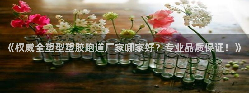 红足一1世皇冠登录：《权威全塑型塑胶跑道厂家哪家好？专业品质保证！》