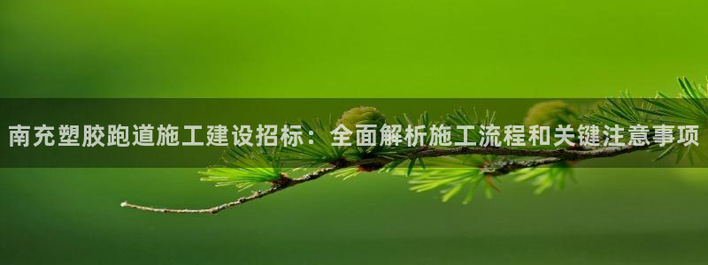 红足一1世666814足球：南充塑胶跑道施工建设招标：全面解析施工流程和关键注意事项