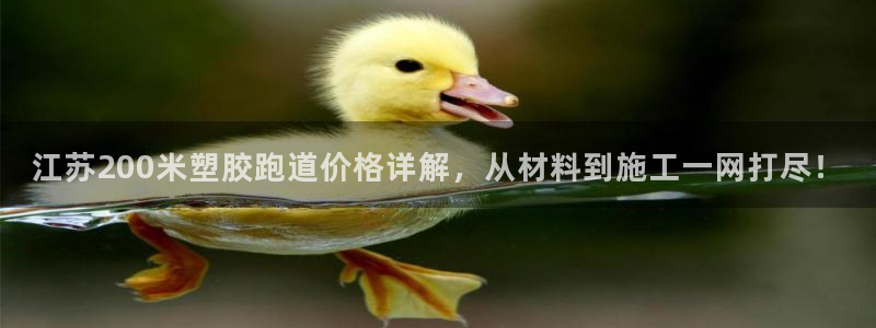 红足一丰：江苏200米塑胶跑道价格详解，从材料到施工一网打尽！