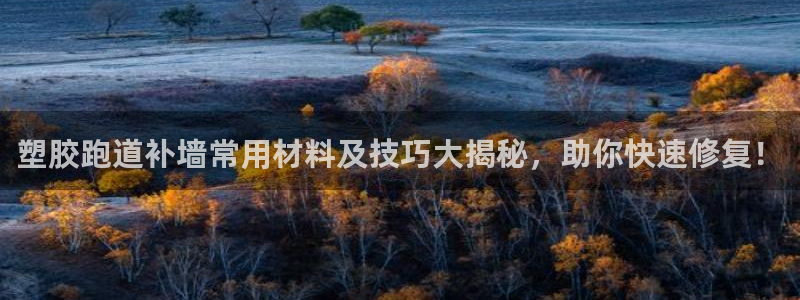 红足1一世：塑胶跑道补墙常用材料及技巧大揭秘，助你快速修复！