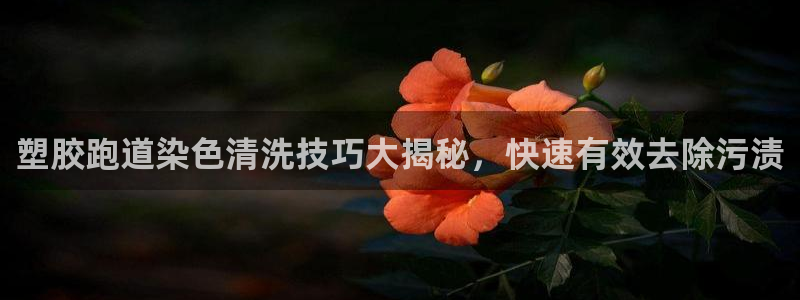 333814红足1世：塑胶跑道染色清洗技巧大揭秘，快速有效去除污渍
