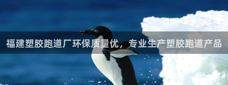 红足1世手机板：福建塑胶跑道厂环保质量优，专业生产塑胶跑道产品