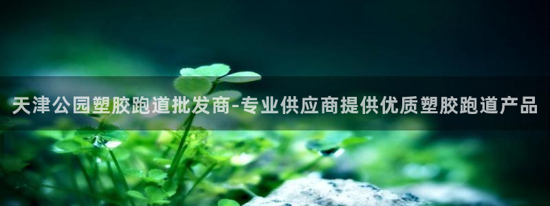 红足一一世：天津公园塑胶跑道批发商-专业供应商提供优质塑胶跑道产品