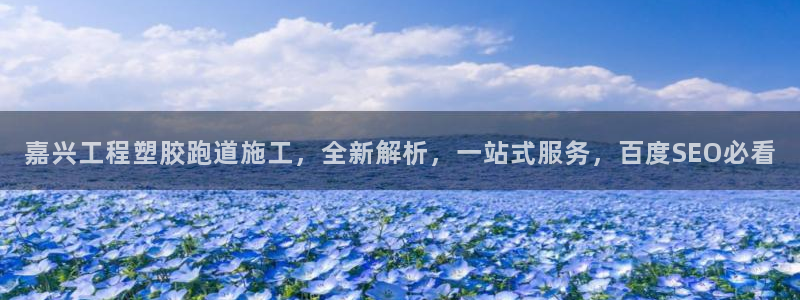 红足体育网：嘉兴工程塑胶跑道施工，全新解析，一站式服务，百度SEO必看