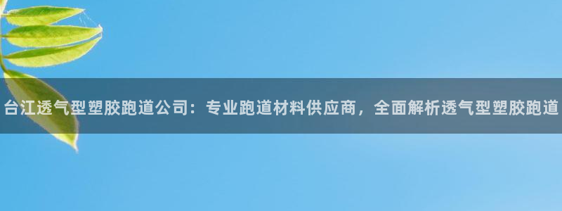 333814红·足一世比分：台江透气型塑胶跑道公司：专业跑道材料供应商，全面解析透气型塑胶跑道