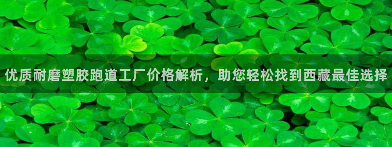 红足1一世红：优质耐磨塑胶跑道工厂价格解析，助您轻松找到西藏最佳选择