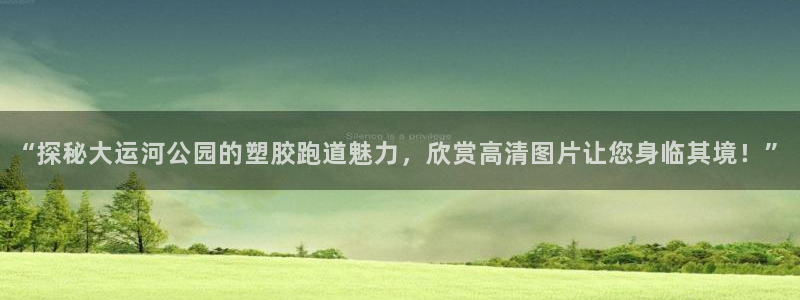 红足1世手机板：“探秘大运河公园的塑胶跑道魅力，欣赏高清图片让您身临其境！”