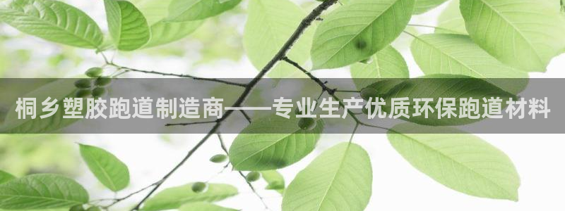 红足一1世手机皇冠：桐乡塑胶跑道制造商——专业生产优质环保跑道材料