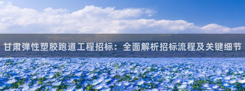红足1世手机下载：甘肃弹性塑胶跑道工程招标：全面解析招标流程及关键细节