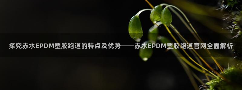 红足一1世平台：探究赤水EPDM塑胶跑道的特点及优势——赤水EPDM塑胶跑道官网全面解析