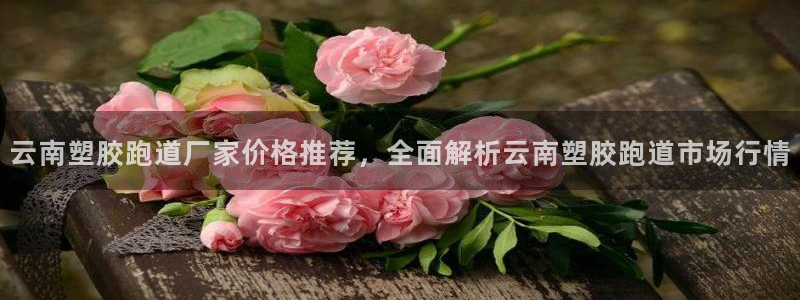 红足1世1站2站管理网：云南塑胶跑道厂家价格推荐，全面解析云南塑胶跑道市场行情