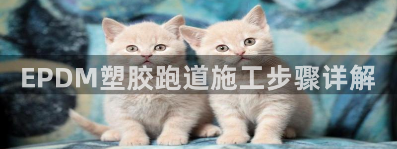 红足一一世
