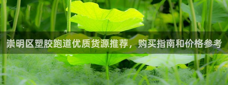 红足一1世官网足球推荐真人：崇明区塑胶跑道优质货源推荐，购买指南和价格参考