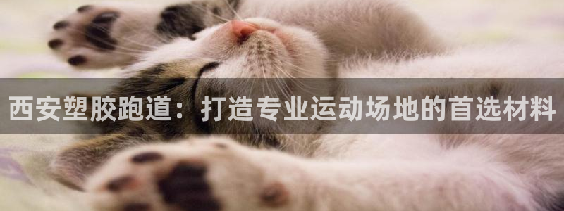 4633333开奖结果4176一点红