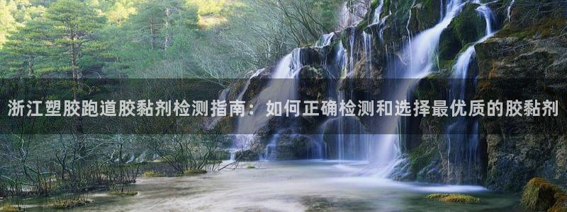 666814红·足一世比分