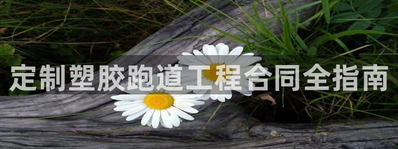 红足1世足球比分预测