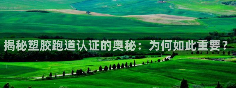红足一1世即时比分