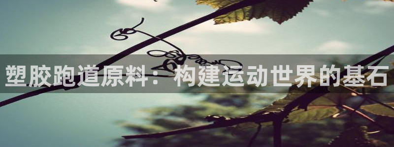 红足1世足球比分