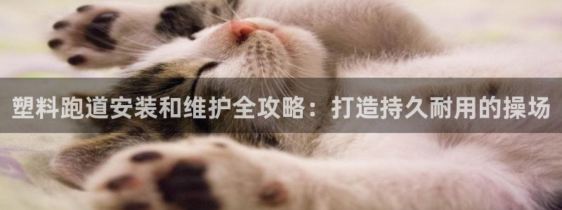 红足一1世666814足球比分网