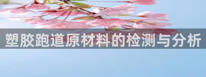 333814红·足一世比分