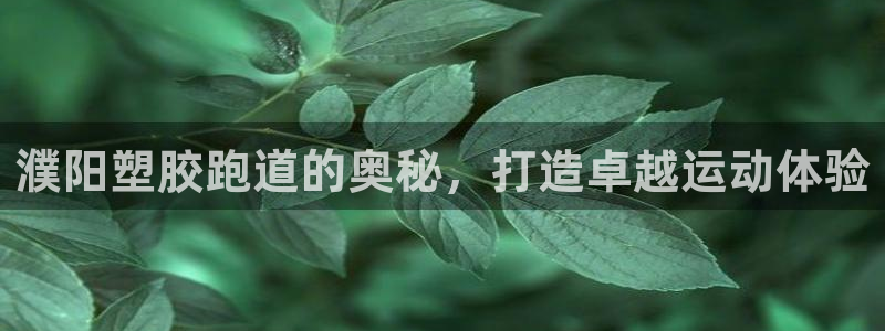 777814红·足一世比分篮球