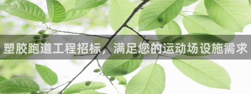 百度红足一1视频在线观看