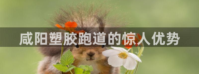百度红足一1使用说明