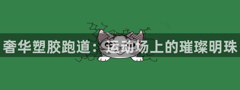 百度红足一1使用说明
