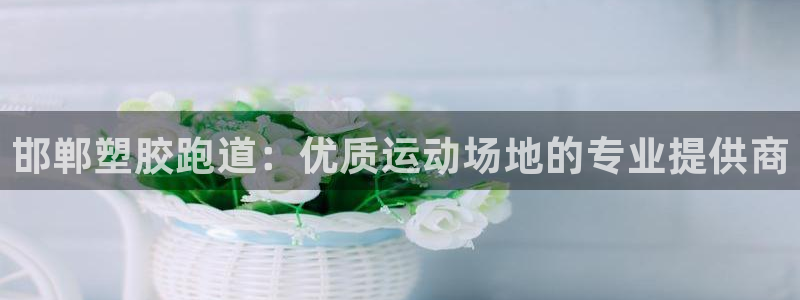 百度红足一1使用说明