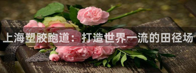 百度红足一1视频在线观看