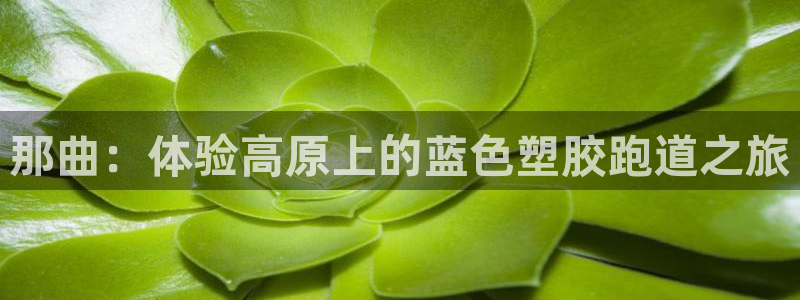 红足一1世官网