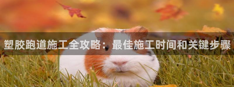 红足1世足球比分 localhost
