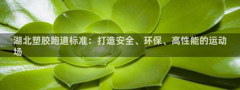 红足一1世比分