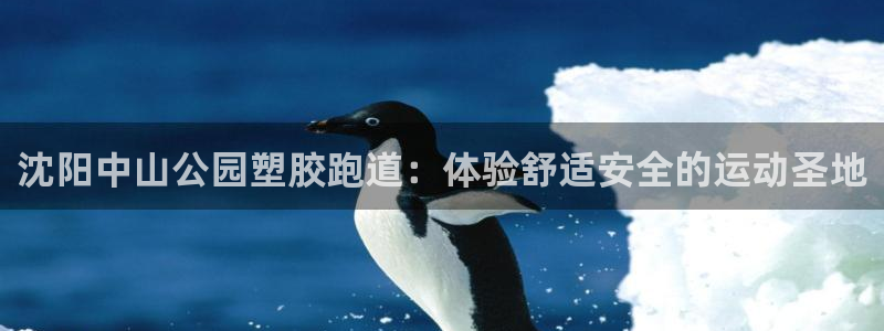55814红足1世