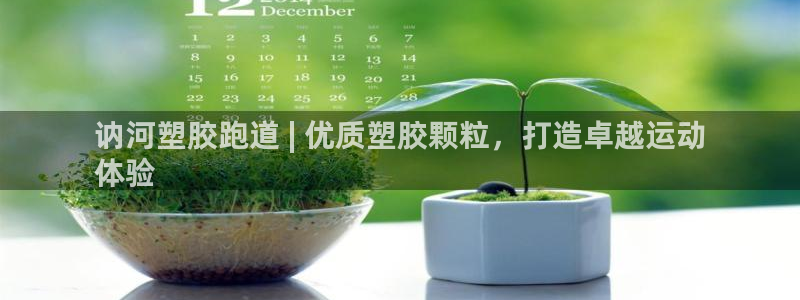 红足网足球直播