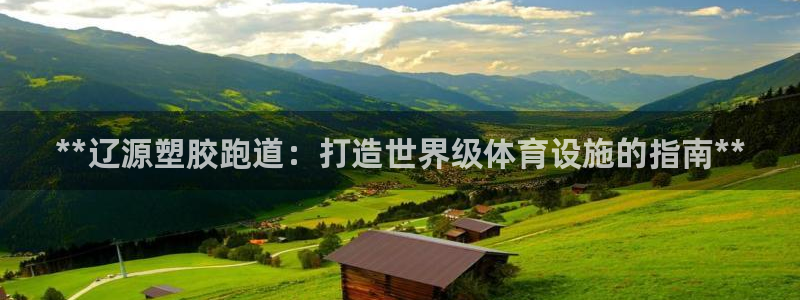 333814红足1世：**辽源塑胶跑道：打造世界级体育设施的指南**
