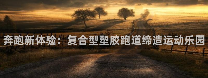 红足一1世66814新宝：奔跑新体验：复合型塑胶跑道缔造运动乐园